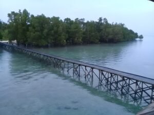 Kembangkan Destinasi Wisata Bahari Unggulan, Pemkab Kutim Lirik Potensi Pulau Birah-Birahan dan Pantai Jepu-Jepu 