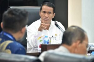 Produksi Beras Nasional Ditargetkan Tembus 34,77 Juta Ton di 2025