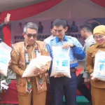 Sinergi PT PIK dan Petani di Bengalon Kutim Berhasil Angkat Nilai Ekonomi Padi Gunung