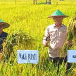 Pemkab Kutim Percepat Akselerasi Pertanian Modern, PPL Hadir di Setiap Desa