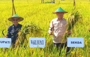 Pemkab Kutim Percepat Akselerasi Pertanian Modern, PPL Hadir di Setiap Desa