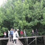 Mangrove Bontang Kian Diminati, Konservasi Tetap Jadi Aturan Utama