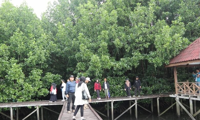 Rombongan kegiatan Media Visit dan Lingkar Temu Pengelolaan Mangrove Lestari yang digelar Kelompok Kerja Mangrove Daerah (KKMD) Kaltim