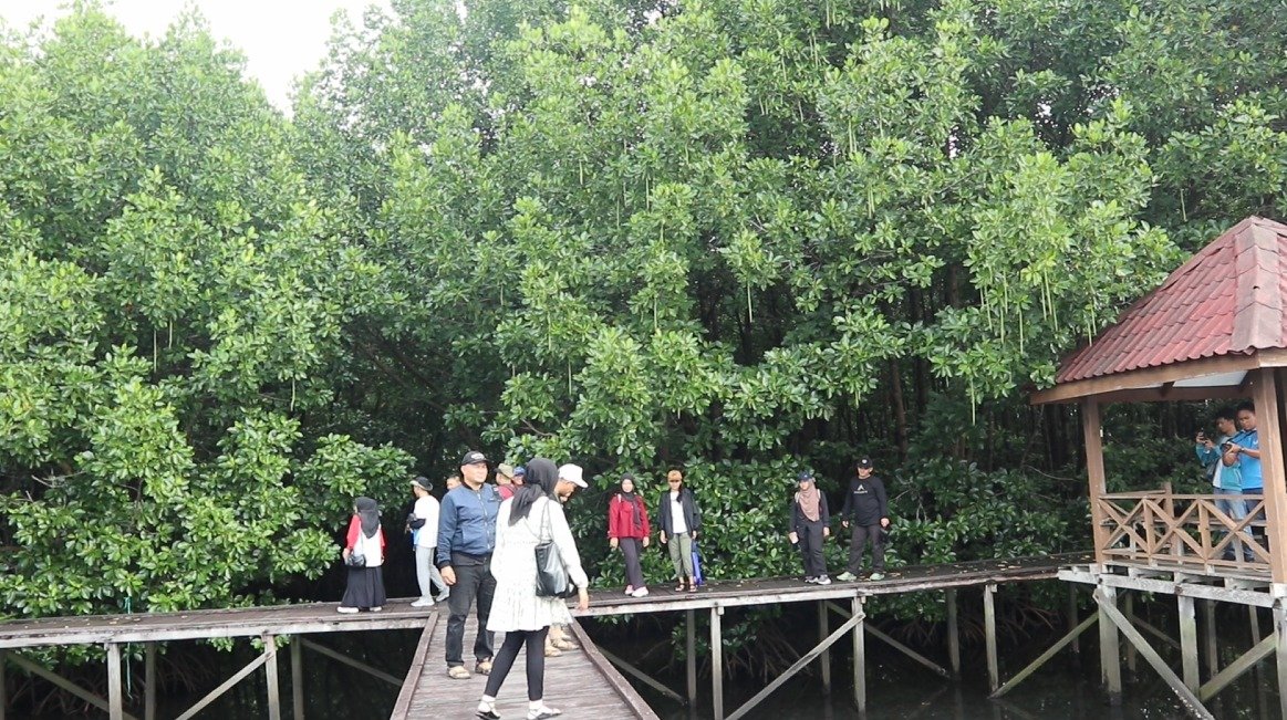 Mangrove Bontang Kian Diminati, Konservasi Tetap Jadi Aturan Utama