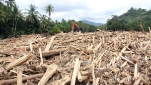 DPR RI Soroti Gelondongan Kayu di Banjir Sumatera, Bakal Panggil Menteri Kehutanan