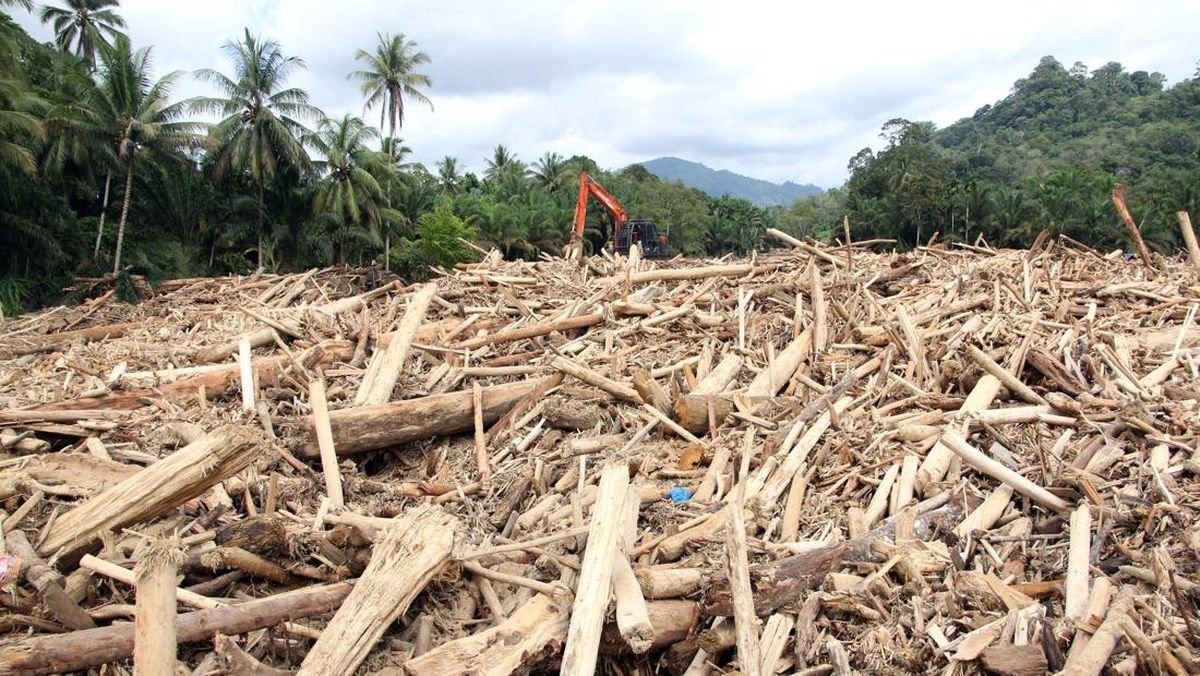 DPR RI Soroti Gelondongan Kayu di Banjir Sumatera, Bakal Panggil Menteri Kehutanan