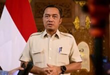 Wakil Ketua Umum Partai Gerindra Prasetyo Hadi