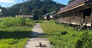 Ketidakadilan di Perbatasan Kalimantan: 21 Desa di Nunukan Terisolasi Tanpa Listrik dan Sinyal