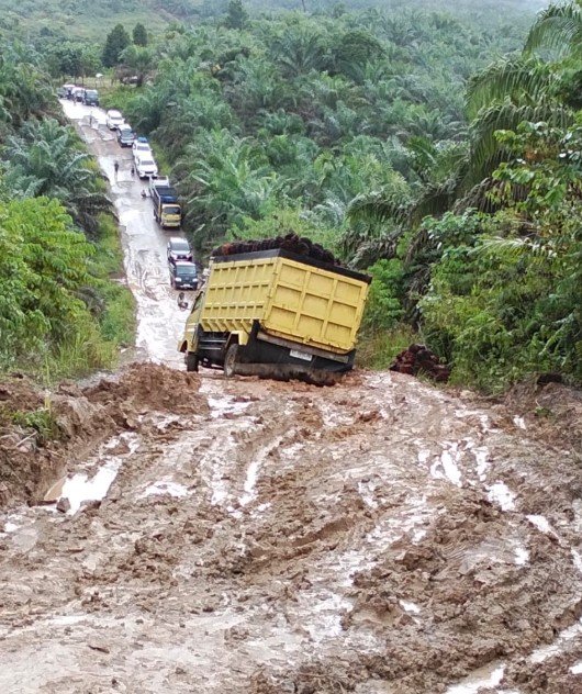 Jalan Poros Rantau Pulung–Batu Ampar Berlumpur, Distribusi Sawit Di Kutai Timur Terhambat