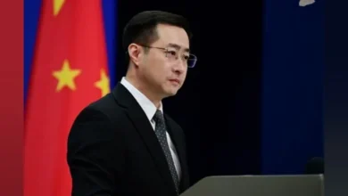 Juru bicara Kementerian Luar Negeri China, Lin Jian