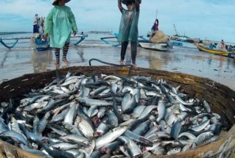 Perikanan Kaltim Disiapkan Jadi Sumber Ekonomi Baru Pengganti Batu Bara