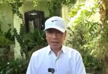 Presiden ke-7 RI, Joko Widodo (Jokowi)