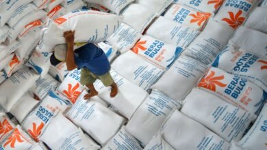 Cadangan Beras Pemerintah (CBP)