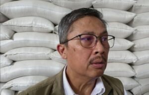 Stok Beras BULOG Capai 5,25 Juta Ton per 9 Agustus 2026