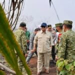Mensesneg Ungkap 4 Korporasi Diselidiki Terkait Karhutla di Kalbar