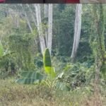Kejati Kaltim Sita Tanah Milik Dua Tersangka Kasus Dugaan Korupsi Tambang CV ABI