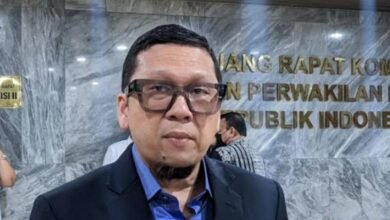 Wakil Ketua Umum Partai Golkar Ahmad Doli Kurnia
